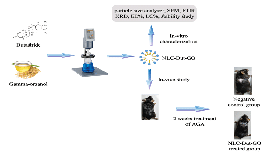 Graphical Abstract