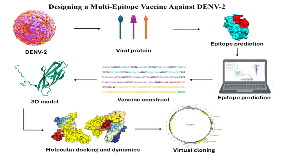 Graphical Abstract