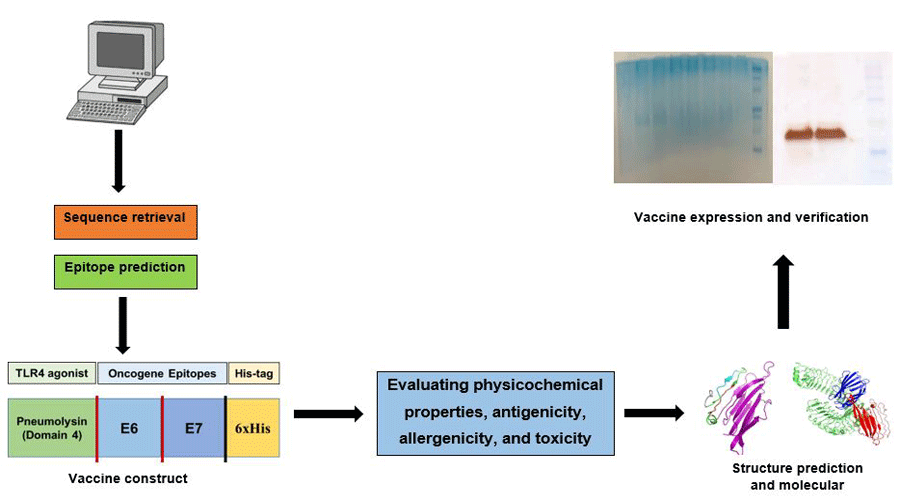 Graphical Abstract