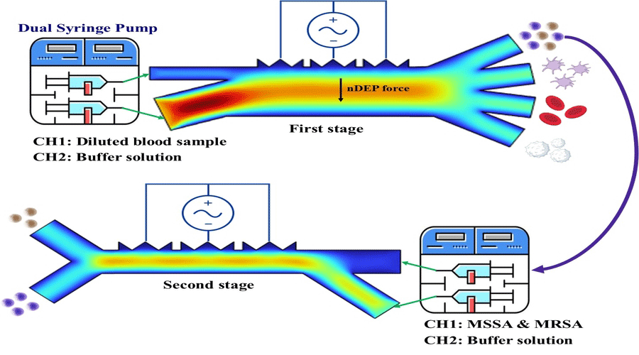 Graphical Abstract