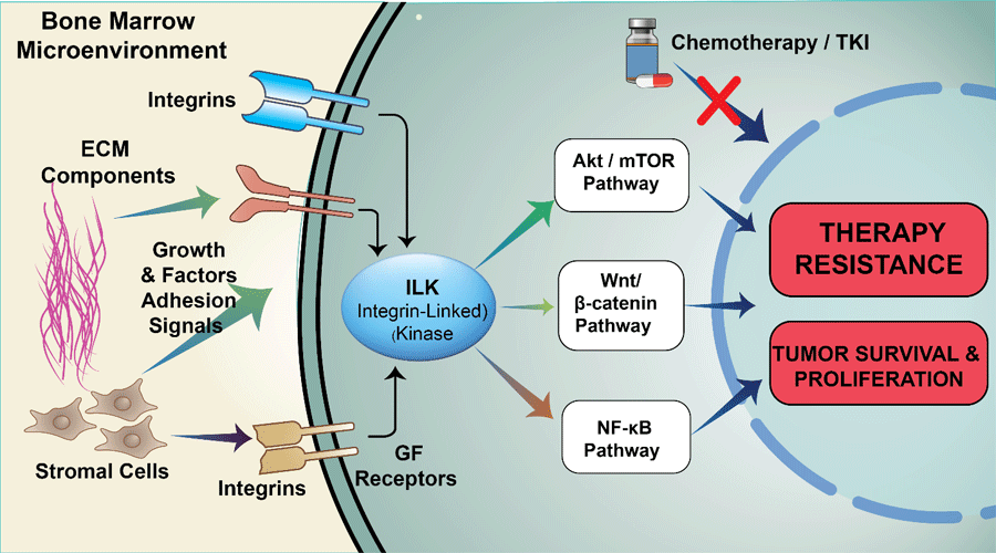 Graphical Abstract