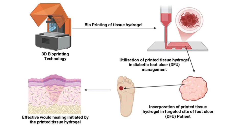 Graphical Abstract