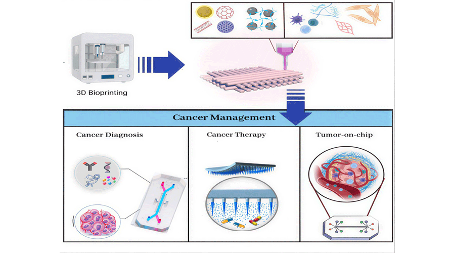 Graphical Abstract
