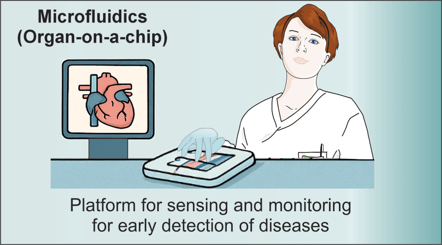 Graphical Abstract