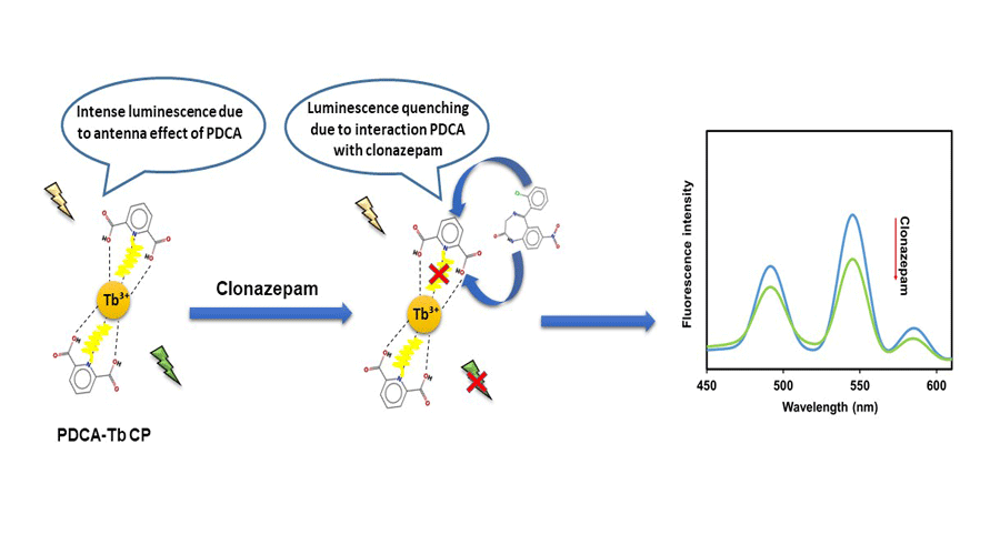 Graphical Abstract