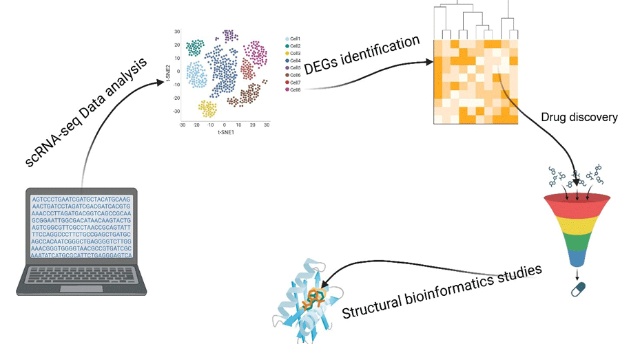 Graphical Abstract