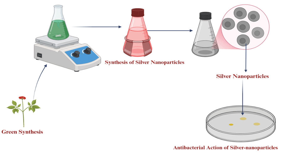 Graphical Abstract