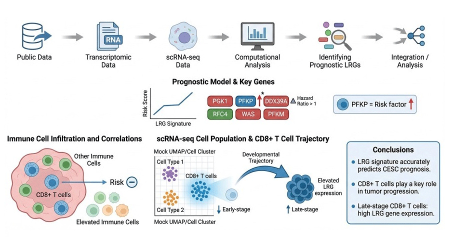 Graphical Abstract