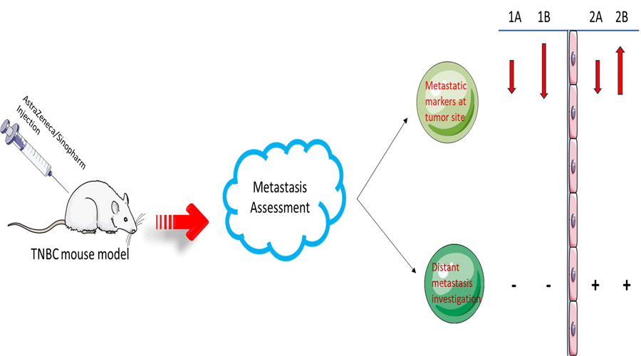 Graphical Abstract