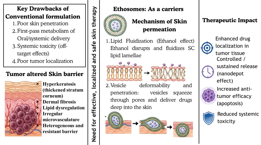 Graphical Abstract