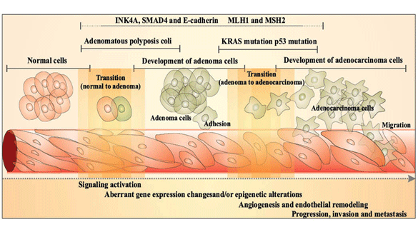Graphical Abstract