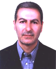 Razavi S.E. (PhD)