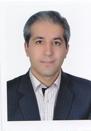 Hadi Hamishehkar (Ph.D.)
